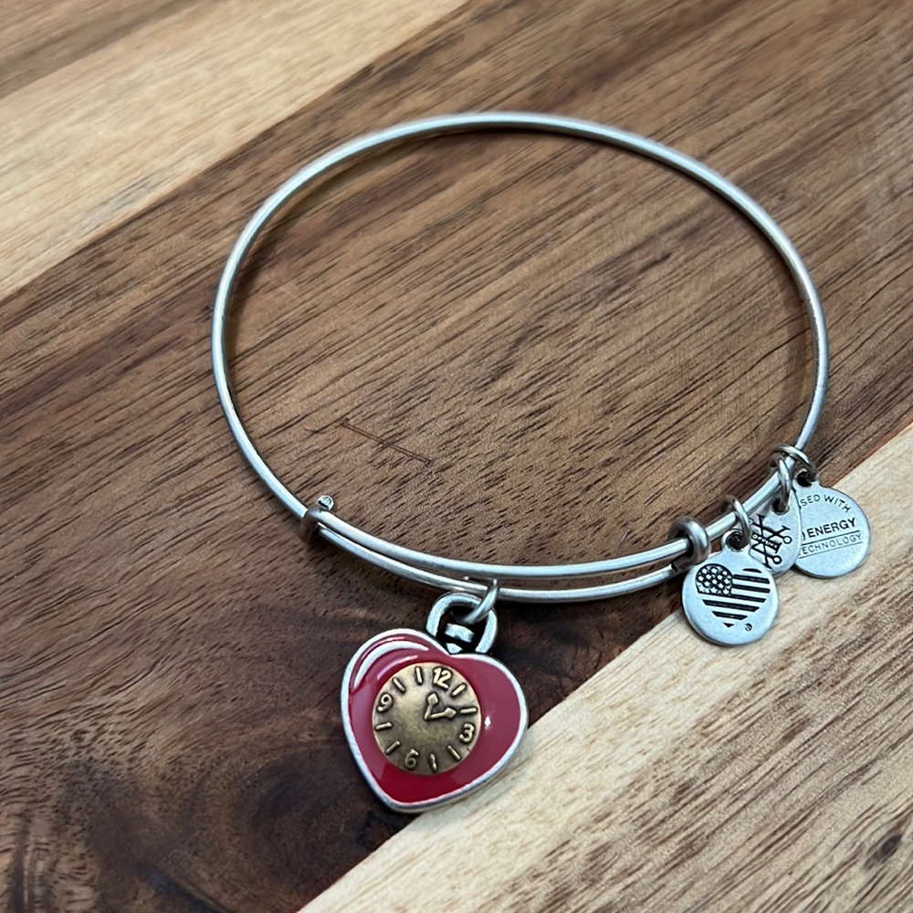 Alex and Ani Wizard of Oz bracelet in a Rafaelian silver finish.